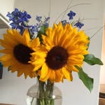 Joan Fitzpatrick - @joanfitzpatrick7 - Instagram