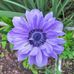Joan B. Flint - Facebook
