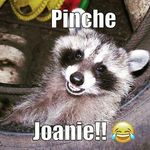 Joan Fraley - @joan.fraley - Instagram