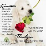 Joan Fredericks - @jefseon62 - Instagram