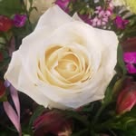 Joan Gamble - @joangamble2013 - Instagram