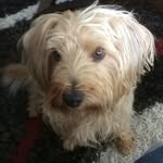 Joan Gamble - @grangamble - Instagram