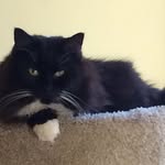 Joan G - @joan.garvin.12 - Instagram