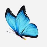 Joan Glynn - @glynn2468 - Instagram