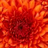 joangoetz222 - @joangoetz222 - TikTok