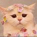 Joan Gomez - Facebook
