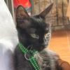joan.gomez - @joan.gomez - TikTok