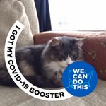 Joan Goodreau - @goodreaujoan - Instagram