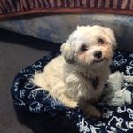joan - @joan_goodrich - Instagram
