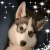 joanarjoongoodrich - @joanarjoongoodrich - TikTok