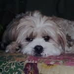 Mary Joan Goodrich - @maryjoangoodrich - Instagram