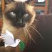 Joan Gorham - Facebook