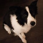Joan Greer - @joangreer5 - Instagram