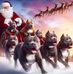 JO MI GREMO  - Facebook