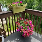 Joan Griggs - Facebook