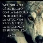 Grimaldo Joan - @joangrimaldo - Instagram