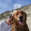 joangrimes5 - @joangrimes5 - TikTok