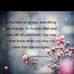Joan Groome - Facebook