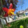 Grow with Joan - @growwithjoan - TikTok