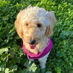 Betty Joan Grubb - @bettyjoanfanaccount - Instagram