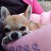 Joan Grubbe - Facebook