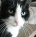 Joan Haber - Facebook