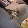 Joann Hackett - @joann12837 - TikTok