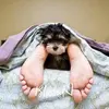 John Hallman - @john.hallman - TikTok