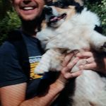 joan - @joan_sommers_halpin - Instagram