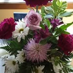 Joan Hamann - @joan.hamann.9 - Instagram