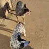 Jo Hamlin - @joannhamlin5 - TikTok