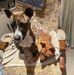Joan Hampton - Facebook
