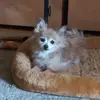 joanhampton6 - @joanhampton6 - TikTok