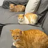 Jo Harbison - @jo.harbison - TikTok