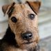 Joanne Hardwick - Facebook