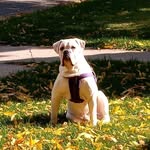Joan Havens - @havens5022 - Instagram