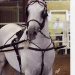 Joan Hawks - @ronsbeast - Instagram