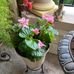 JoAnn Hazard - Facebook