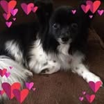 Joan Head Kaskavage - @joankaskavage - Instagram