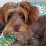 Joan Bennett Heinz - @joan.heinz.92 - Instagram