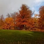 joan henneveld - @henneveldjoan - Instagram