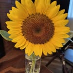 Joan Hennings - @joan.hennings.9 - Instagram
