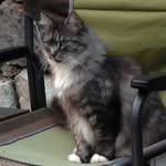 Joan Hills - @jmhills34 - Instagram