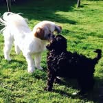 Joan Hobson - @hobson3425 - Instagram