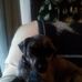 Joan Hoffer - Facebook
