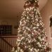 Joan Homan - Facebook