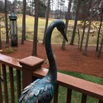 Joan Hostetter - @joan_hostetter - Instagram