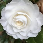 Joan Hostetter - @jdh5451yahoocom - Instagram