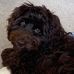 Joan Hoyle - Facebook