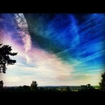 Joan Hoyles - @joanhoyles - Instagram